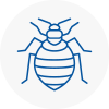 Bed Bug Extermination In Frimley