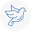 Bird Prevention Frimley