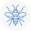 Frimley Hornet Nest Removals