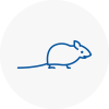 Mice Exterminators In Frimley