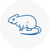 Rat Control Frimley