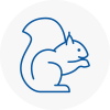 Frimley Rodent Removals