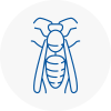 Frimley Wasp Nest Removal